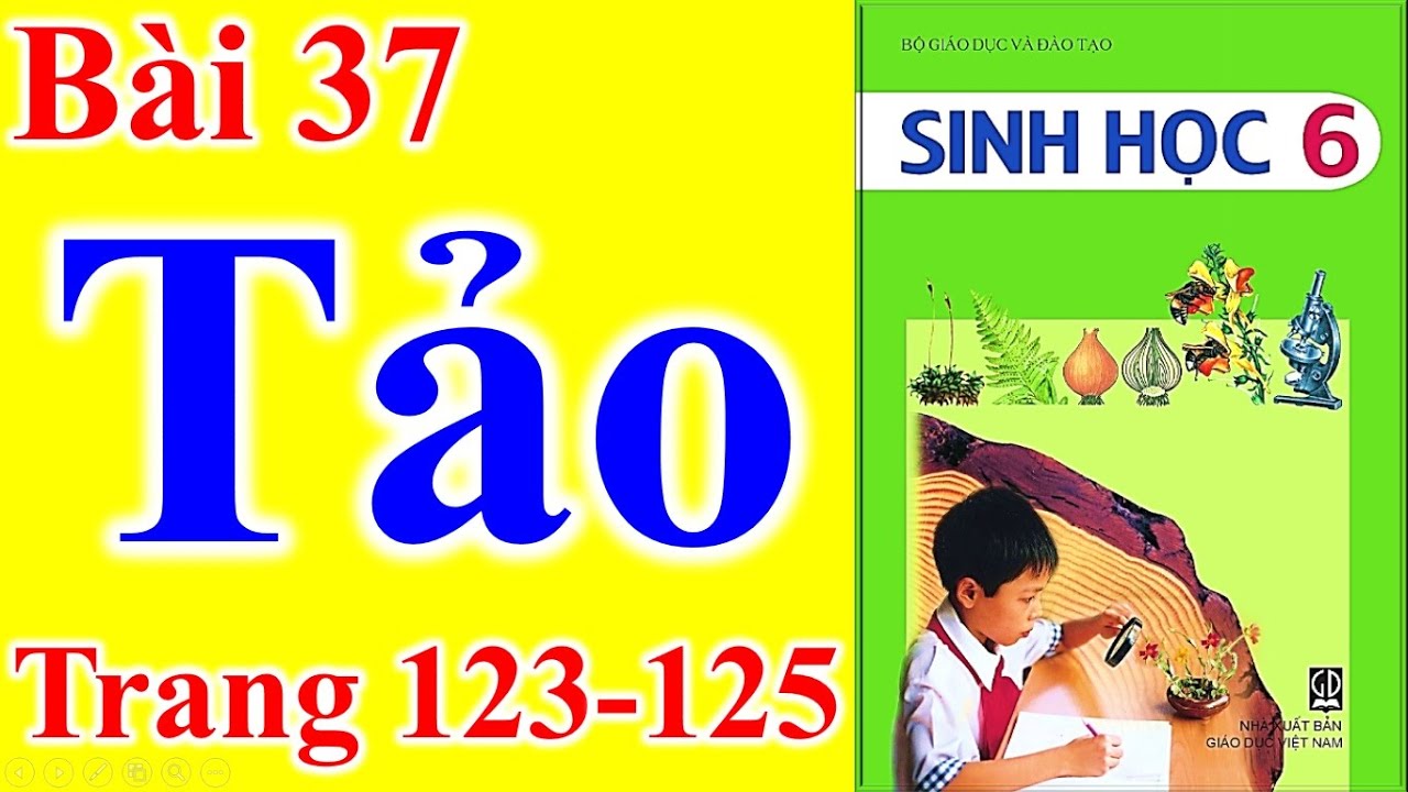 Giải bài sinh học lớp 6 | Sinh Học Lớp 6 Bài 37 – Tảo – Trang 123 – 125