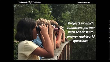 From Observations to Questions: An Introduction to Inquiry