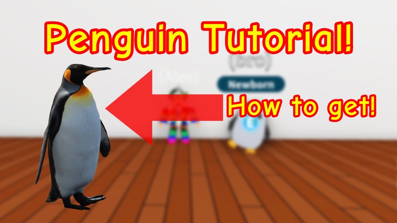 How To Get The Penguin In Adopt Me Roblox Adopt Me Tutorial Youtube - adopt me i got a penguin roblox youtube