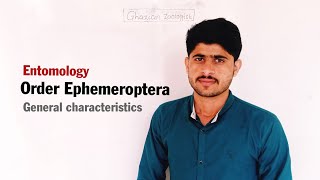 Order Ephemeroptera General characteristics