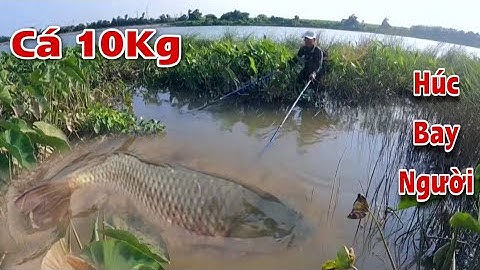Kích Cá Một Ngày Trúng Mánh Bắt Toàn Cá Khổng Lồ Trên 10 Kg Ngoài Tự Nhiên
