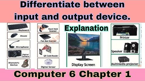 Differentiate between INPUT and OUTPUT device | computer 6 chapter 1 | ilmi darasgah