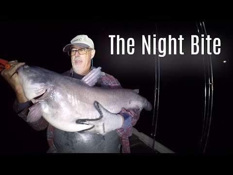 Tennessee River Night Fishing - Fishing The Night Bite For Catfish