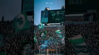 dima raja #casablanca #football #rajacasablanca #raja #rca