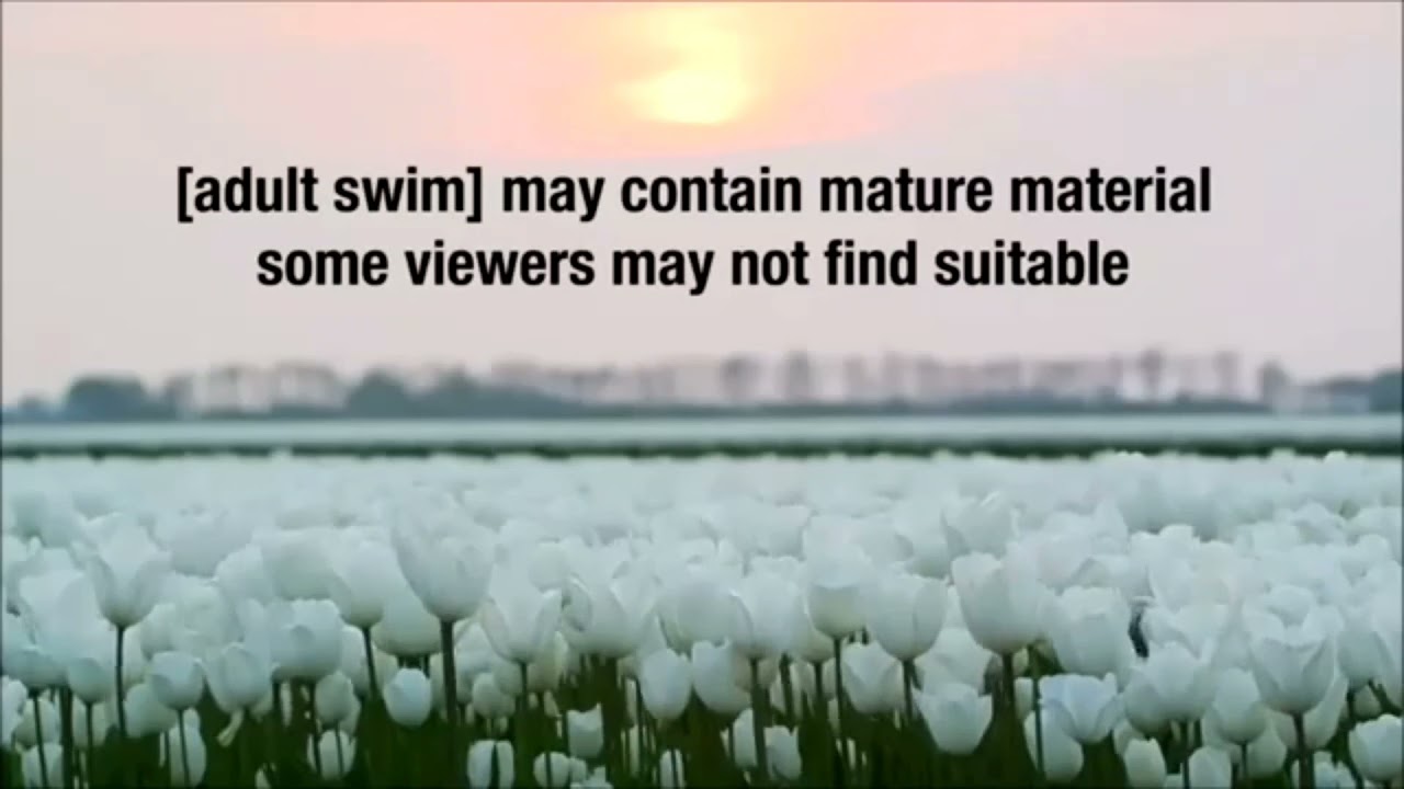 [AS DISCLAIMER] Teebs - Arthur's Birds