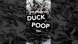 The Story of Duckpoop Dancong Tea #Shorts