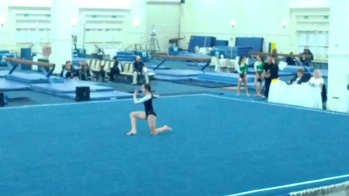 Paladio Floor Routine