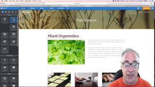 Using the elements in a Weebly Website