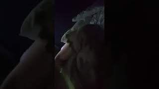 Little Girl Gets Jumpscare By Cbeebies Anti Piracy Screen