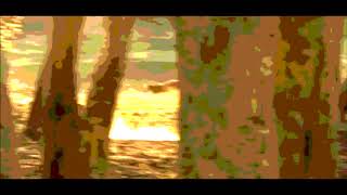 Tigress Chases Dhole Pack