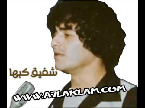 شفيق كبها حمامة بيضة قديمة ونادرة