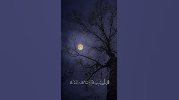 سورة التوبة | القارئ حاتم المالكي #quran