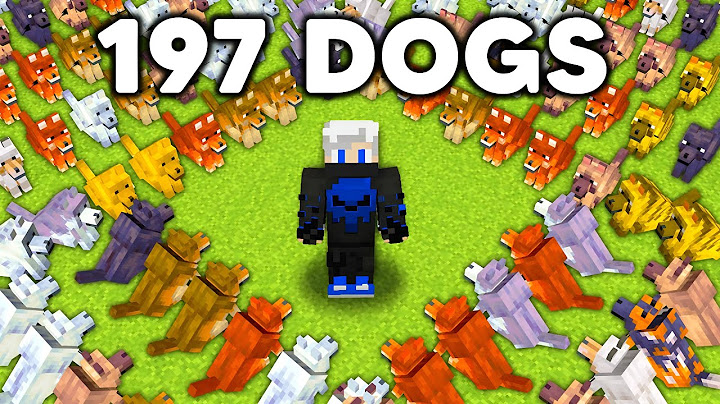 I Collect Minecraft EVERY NEW WOLF in 24 Hour..