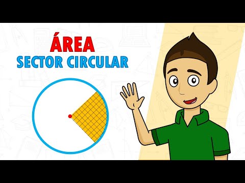 Vídeo: Com Es Calcula El Sector