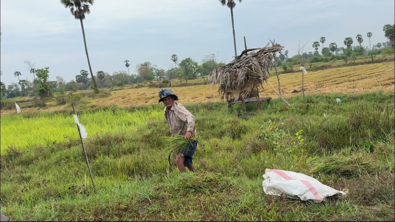 ប្រាសាទគុកយាយហម និង ផ្សារល្វានៅជិតទន្លេអ៊ំំ ខេត្តកំពង់ចាម/ Temple , Market and Lake in Kampong Cham 
