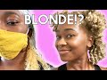 Why I Went BLONDE and 6 MONTH HONEST UPDATE!