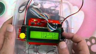 Marble Disorder: got 2 tilt-switches and a microchip