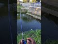 I need more fishing friends 😂 yall can’t teach me how to handle a fish