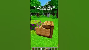 Outdoor Picnic Table Tutorial Minecraft 1.20! (YoFPS Shaders)