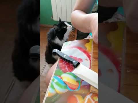 Где хранить рыбку горячего копчения 👍😎