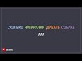 Сколько натуралки нужно вашей собаке - расчет дневной порции