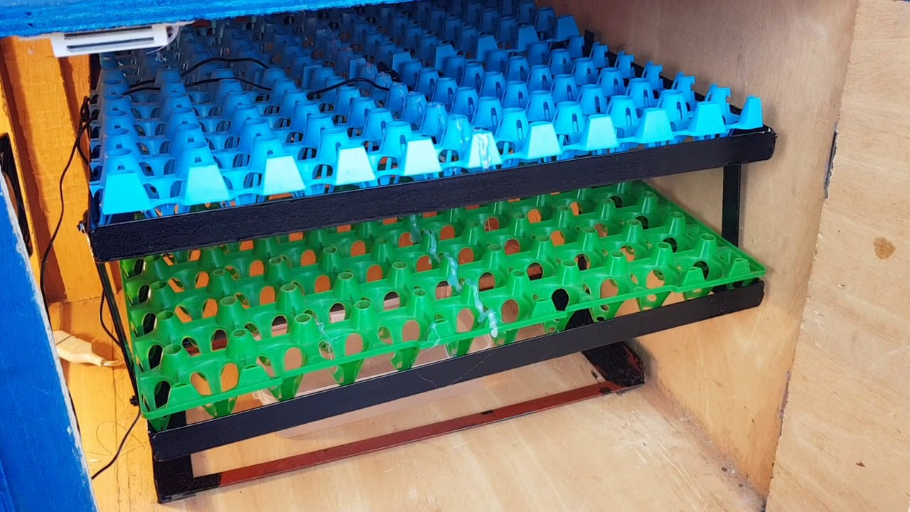 Fabrication de couveuse électrique 220v