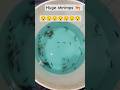 huge shrimps II all shrimps II aquarium shrimps #shorts #viral #viralvideo #trendingshorts