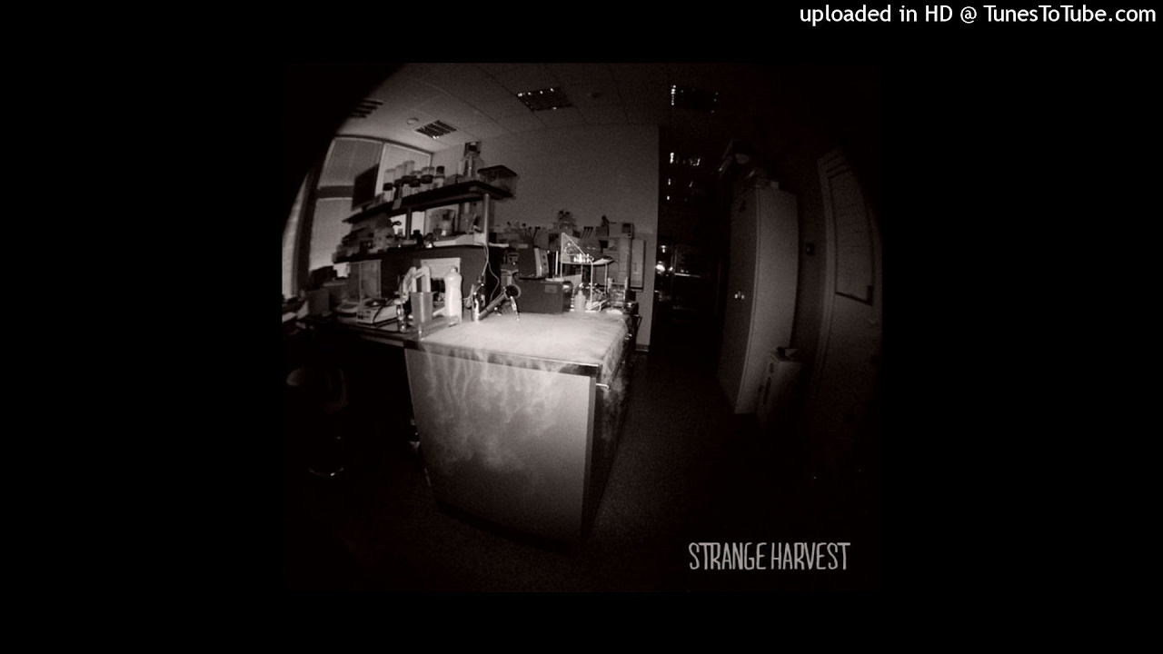 Trellion & Sniff - Strange Harvest