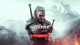 PS5 The Witcher 3: Wild Hunt | 4kHDR |  Ard Skellige | #42