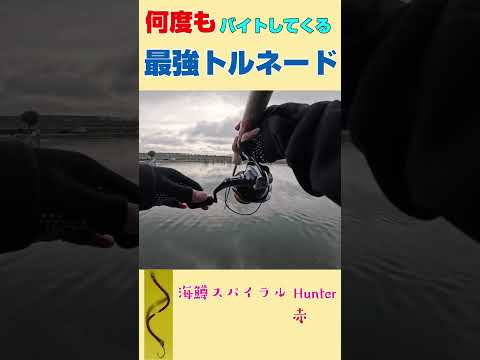 【海鱒スパイラル Hunter】何度もバイト！ようやく掛けた魚がまさかの…【エリアトラウト】