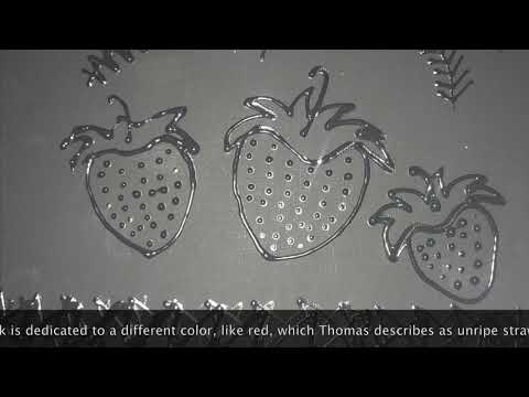 The Black Book Of Colors Book Trailer