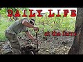 BUHAY BUKID|DAILY LIFE|MADRE DE AGUA