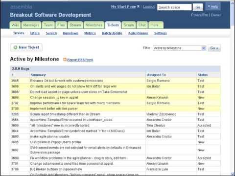 Assembla Tools: Project Portfolio Tool - Part 5