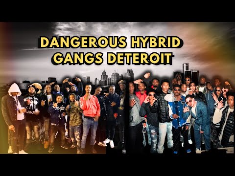 Detroit’s Most Dangerous Hybrid Gangs: Crips, Bloods & Gangster Disciples Unite
