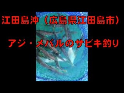 アジ メバルのサビキ釣り 江田島沖 広島県江田島市 Youtube