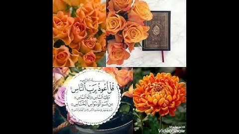 مقطع قصير من سورة الناس🏵