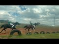 Traditional Horse Racing Peka Lesotho 21 03 2026 Traditional Horse Racing Peka Lesotho 21 03 2026