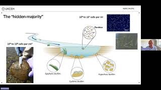 Freshwater Quality Programme Webinar 15 July 2026 - PACIFIC project update.
