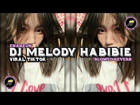 DJ MELODY HABIBIE VIRAL TIKTOK     •     Slowed + Reverb Mengkane !!!