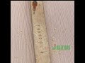 Professional Grade Blind Hole Drill Alloy Drill Bit Woodworking Deep Hole