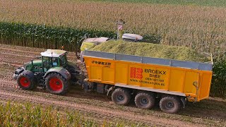 Mais 2021 : 3x Fendt 826 / DEWA & Joskin Drakkar / Broekx BVBA/ Claas Jaguar 960 / Maishäckseln 4K