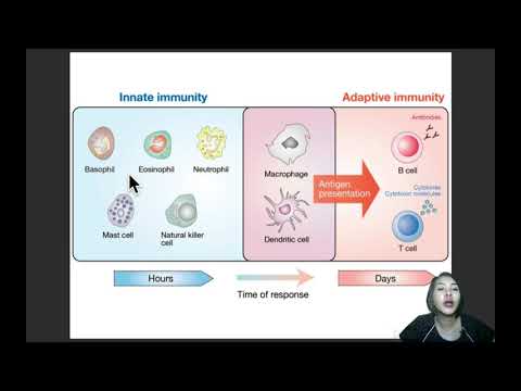 Ep.37 ระบบน้ำเหลืองและโรคที่เกี่ยวข้องกับความผิดปกติของภูมิคุ้มกัน (lymphatic system)