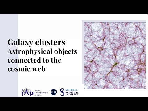 Probing the galaxy clusters in the cosmic web