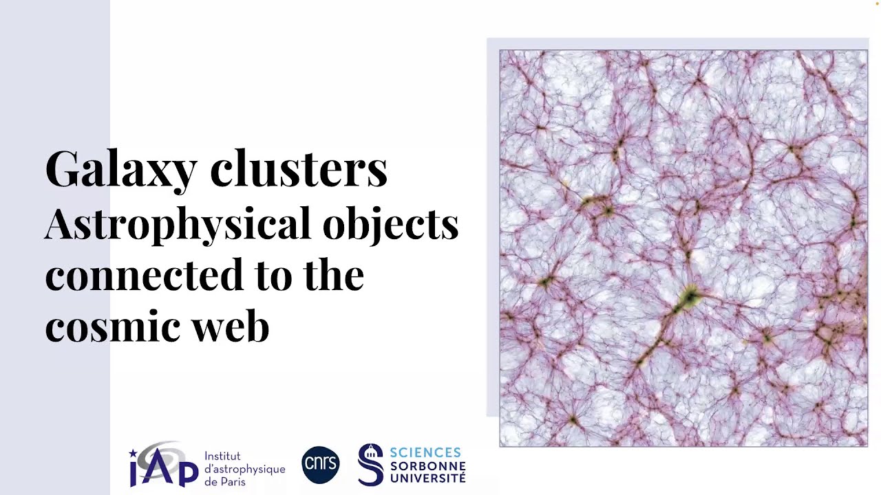 Probing the galaxy clusters in the cosmic web