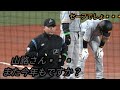 リクエストの末、やっぱり判定覆る 山路審判 吉川尚輝 元木コーチ 坂本勇人 山田哲人 2022年3月29日 神宮球場 読売ジャイアンツ ヤクルトスワローズ
