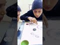 caram board #short video #firee fire #mr. beast #chess#Abdullah ansari1142#Hamza