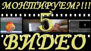 Эффект ,,Картинка в Картинке,, средствами видеоредактора Shotcut [ урок 5 ]