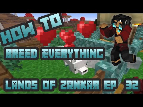 zankar-32:-valentines-day-special-or-how-to-breed-everything!