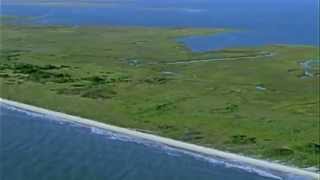 Food Waste in Land Fills Causes Climate Change  Reduce your