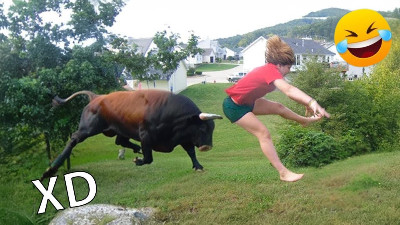 Desafío imposible: ¡Intenta no reír! 😹 – Episodio 4